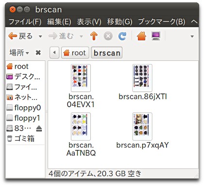 bro024-root-brscan.jpg